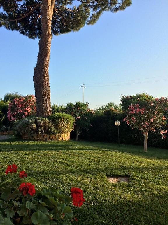 Agriturismo - B&B L'Acquacotta กาส์ตีจลิโอเน เดลลา เปสกายา ภายนอก รูปภาพ